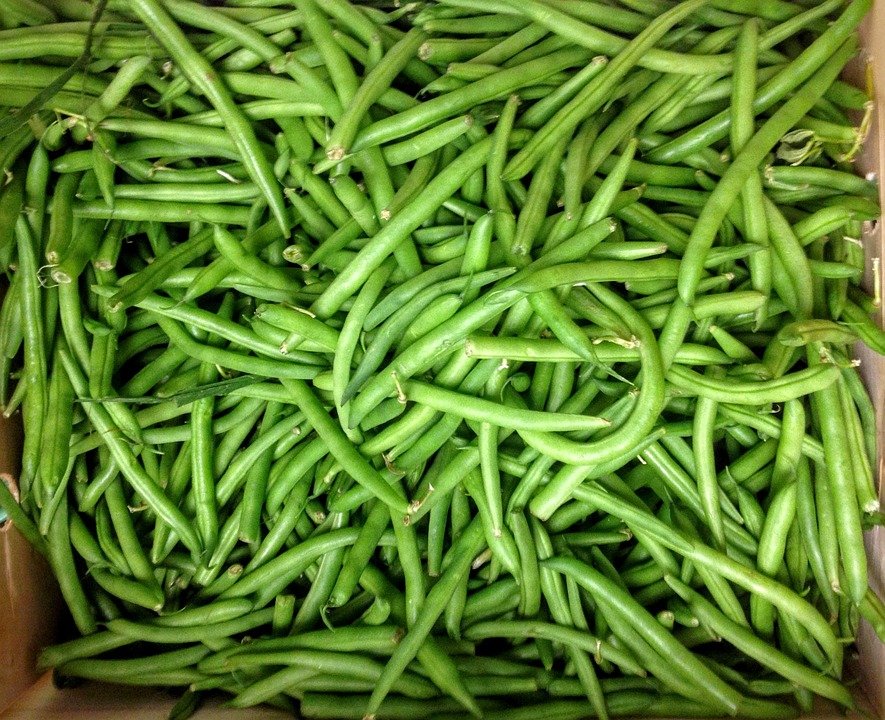 HARICOT - 500 g - 10 €/kg -